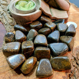 Tumbled Stromatolite~TUMSTRO