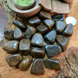 Tumbled Stromatolite~TUMSTRO