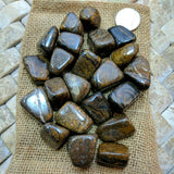 Tumbled Stromatolite~TUMSTRO