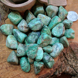 Tumbled Variscite~TUMVARI