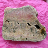 Rhodochrosite Slab~CRRHSL04