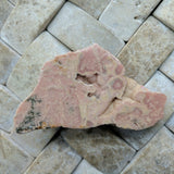 Rhodochrosite Slab End Cut~CRRHSL10