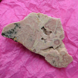 Rhodochrosite Slab End Cut~CRRHSL10