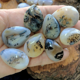 Dendritic Agate Tear Cabachon