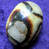 Septarian Nodule Palm Stone~Large~CRSNPML1