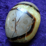 Septarian Nodule Palm Stone~Large~CRSNPML1