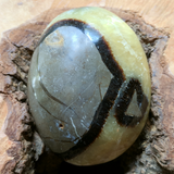 Septarian Nodule Palm Stone~Large~CRSNPML2