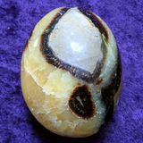 Septarian Nodule Palm Stone~Large~CRSNPML2