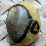 Septarian Nodule Palm Stone~Large~CRSNPML2