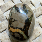 Septarian Nodule Palm Stone~Large~CRSNPML3