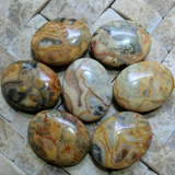 Lace Agate Palm Stones~CRMCLAPS