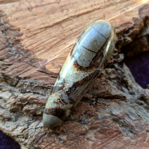 Septarian Nodule Wand~CRSNWD02