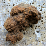 Dino Poop~ Coprolite~CRFCDP01