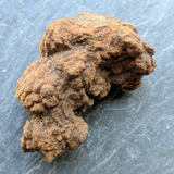 Dino Poop~ Coprolite~CRFCDP01