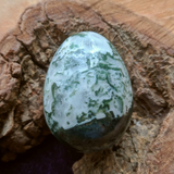 Tree Agate Egg~CRTRAEGG