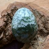 Tree Agate Egg~CRTRAEGG