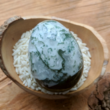 Tree Agate Egg~CRTRAEGG