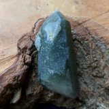 Actinolite In Quartz Crystal~CRACTQ16