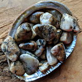 Cassiterite Tumbled~TUMCASSI