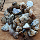 Cassiterite Tumbled~TUMCASSI