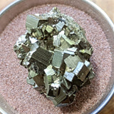 Pyrite Crystal Cluster~CRPYCC01