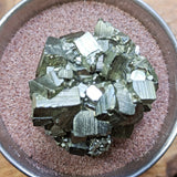 Pyrite Crystal Cluster~CRPYCC03