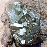 Pyrite Crystal Cluster~CRPYCC05