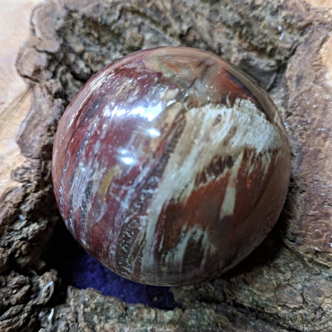 Petrified Wood Sphere~ CRPWSP02