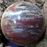 Petrified Wood Sphere~ CRPWSP02