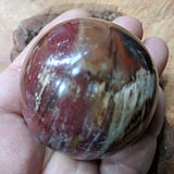 Petrified Wood Sphere~ CRPWSP02