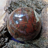 Petrified Wood Sphere~ CRPWSP03