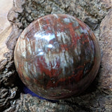 Petrified Wood Sphere~ CRPWSP03