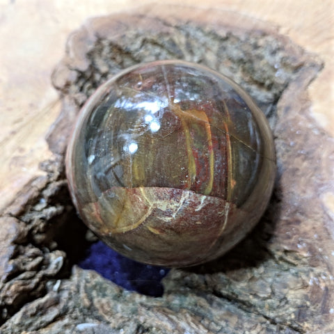 Petrified Wood Sphere~ CRPWSP05