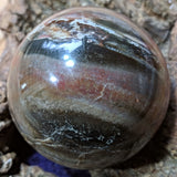 Petrified Wood Sphere~ CRPWSP05