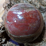 Petrified Wood Sphere~ CRPWSP05