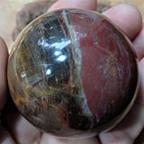 Petrified Wood Sphere~ CRPWSP05