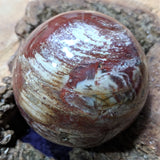 Petrified Wood Sphere~ CRPWSP06