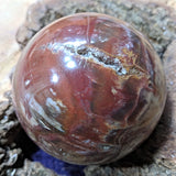 Petrified Wood Sphere~ CRPWSP06