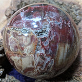 Petrified Wood Sphere~ CRPWSP06