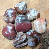 Petrified Wood Heart~CRPETWDH