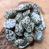 Dalmation Jasper Tumbled- TUMDALJS