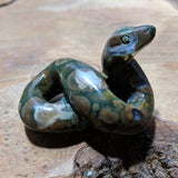 Rainforest Rhyolite Snake~CRRNFSTS