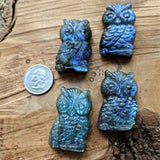 Labradorite Owl CRLPOWL1