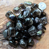 Tumbled Smoky Quartz~TUMSMQU