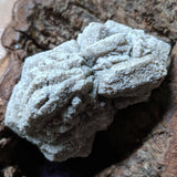 Dolomite Pseudomorph after Aragonite~Roswell, New Mexico CRDSAR04