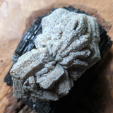 Dolomite Pseudomorph after Aragonite~Roswell, New Mexico CRDSAR04