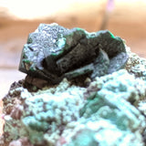 Primary Malachite on Chrysocolla~CRPMACCH