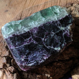 Fluorite Chunk- Australia~ CRPGFLAU