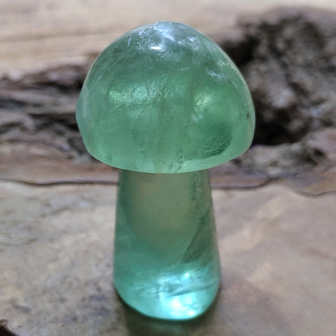 Fluorite Carved Mushroom~ CRFLMR01