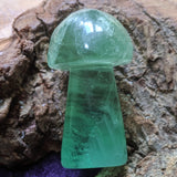 Fluorite Carved Mushroom~ CRFLMR01